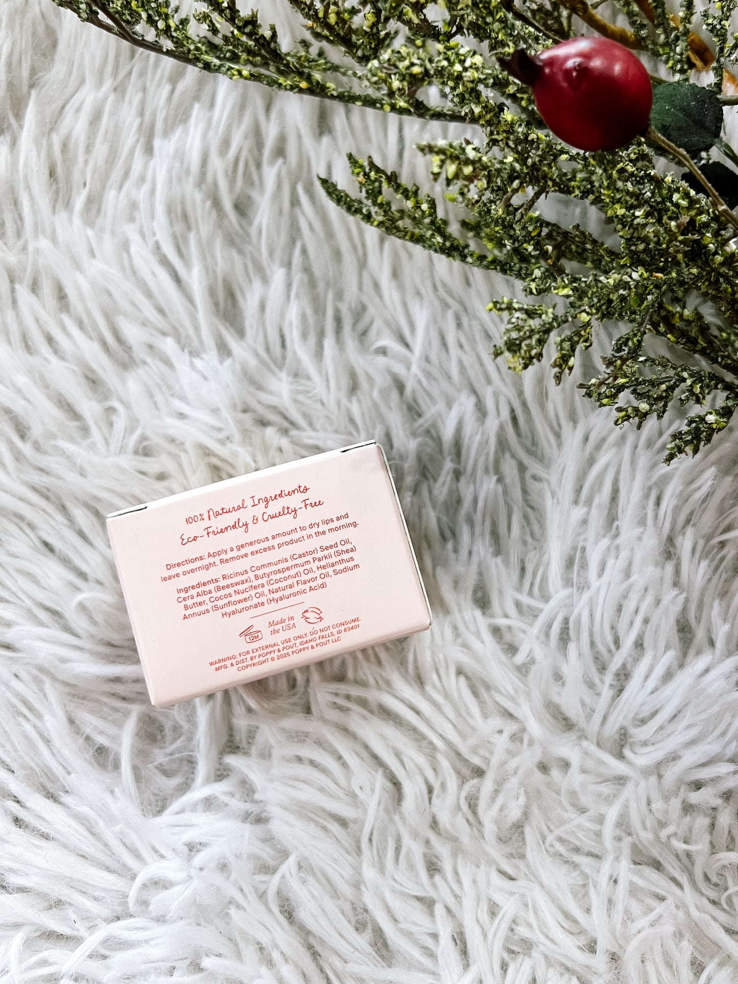 Sugared & Spice Holiday Special Edition Lip Mask