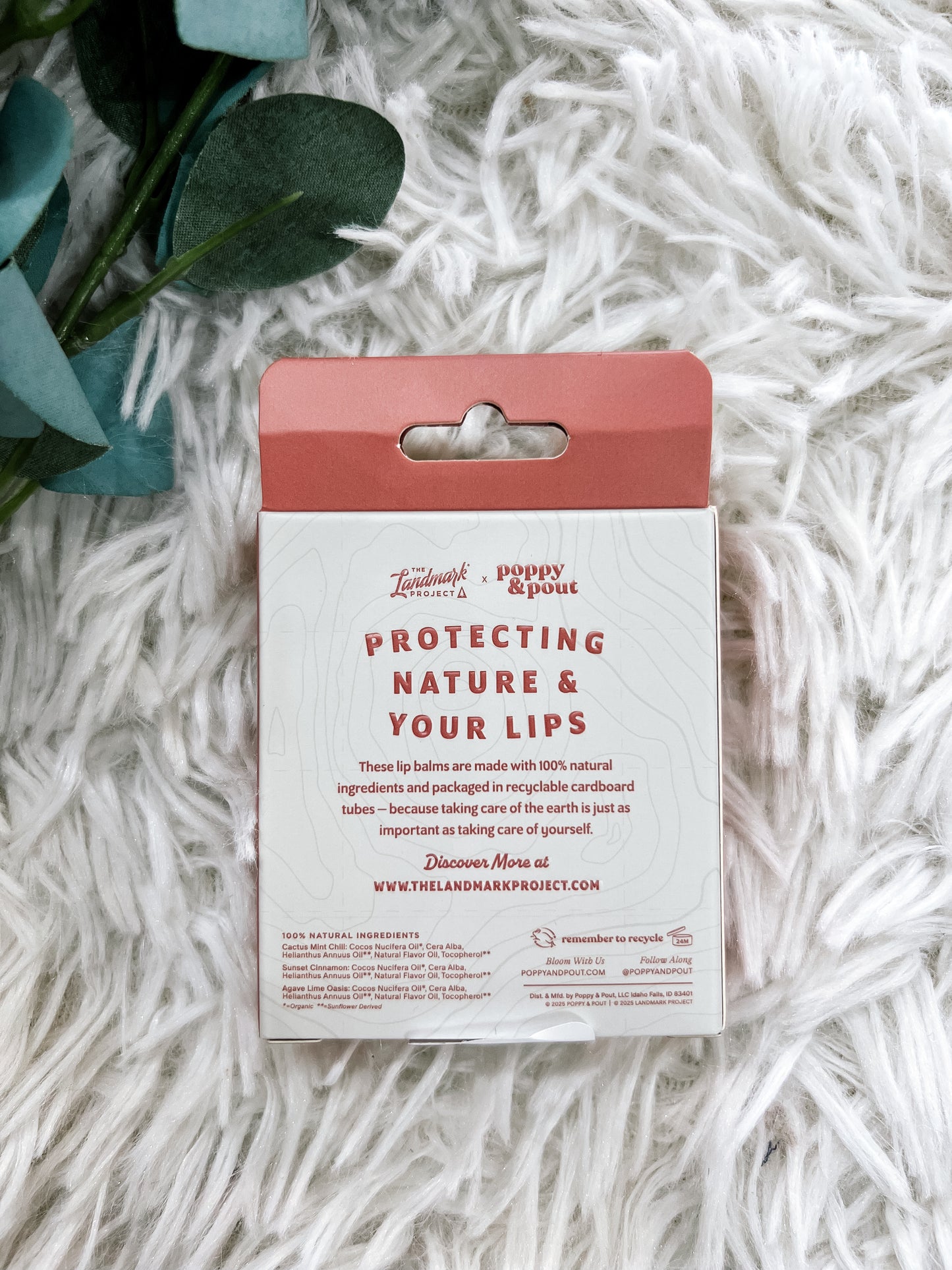 The Landmark Project Lip Balm Trios