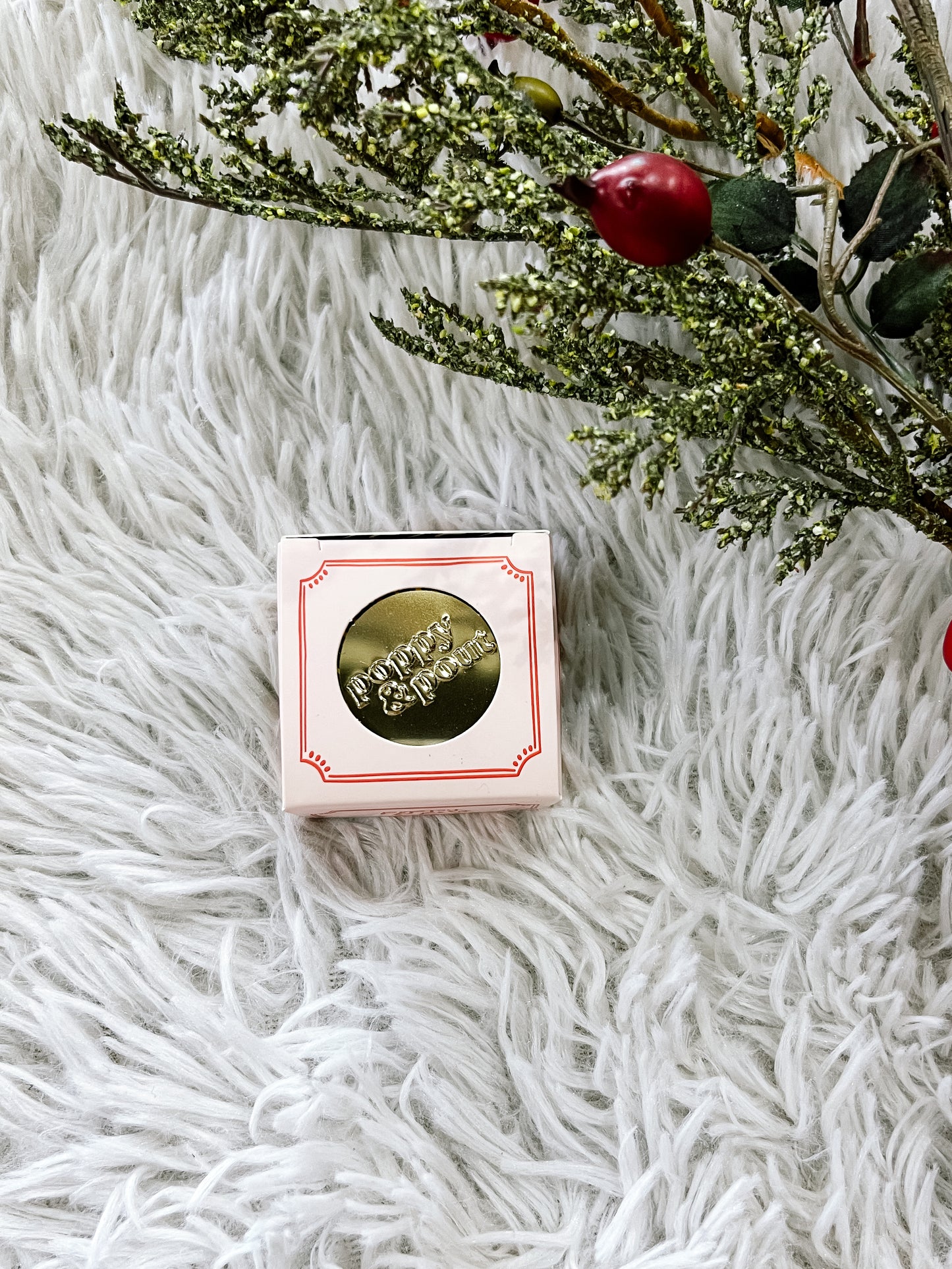 Sugared & Spice Holiday Special Edition Lip Mask