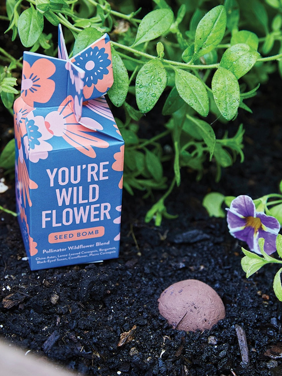You're A Wild Flower Seed Bomb