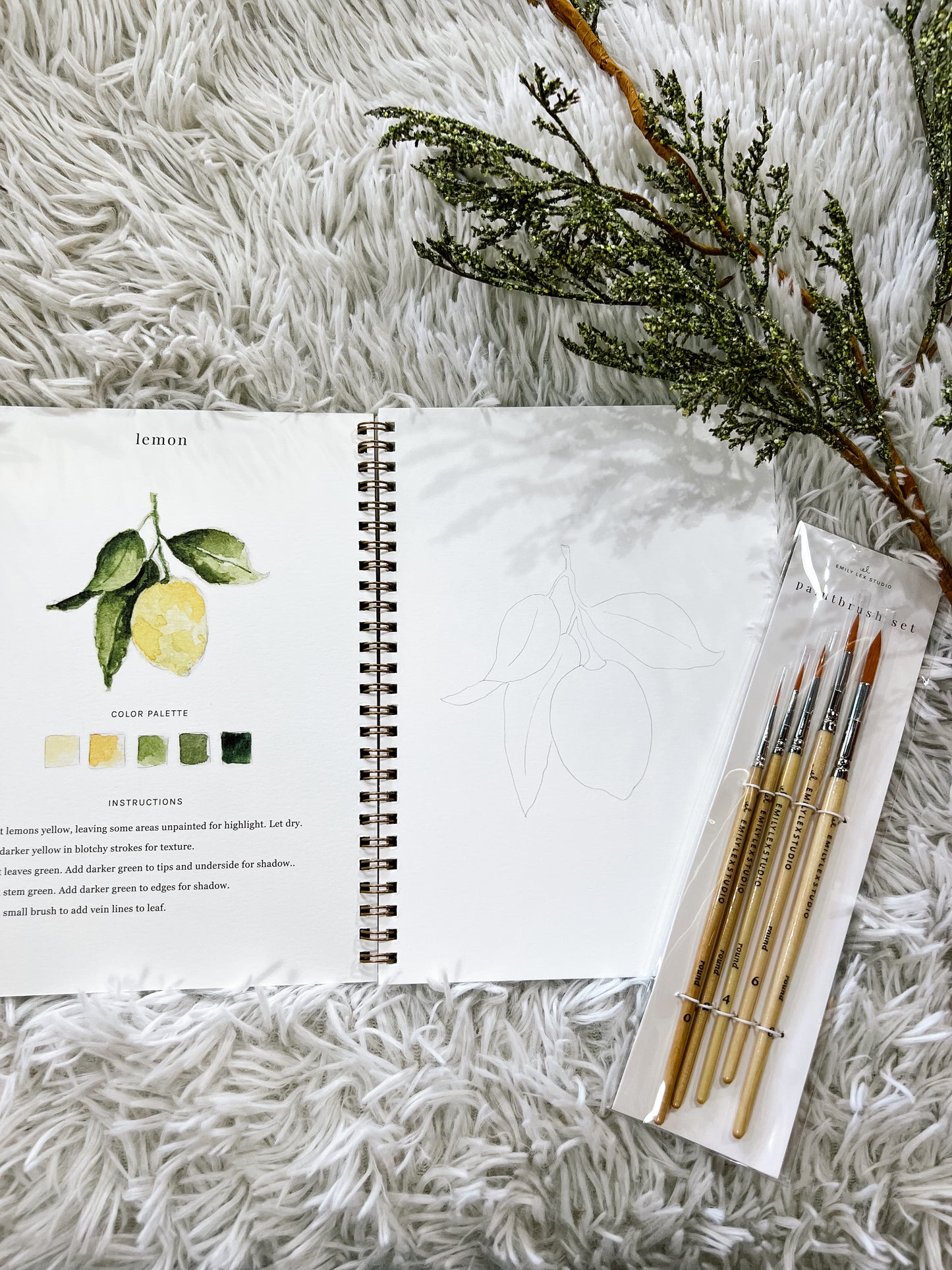 Watercolor Workbook Fruit