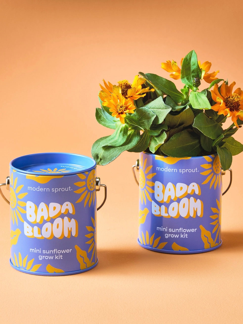 Bada Boom Grow Kit